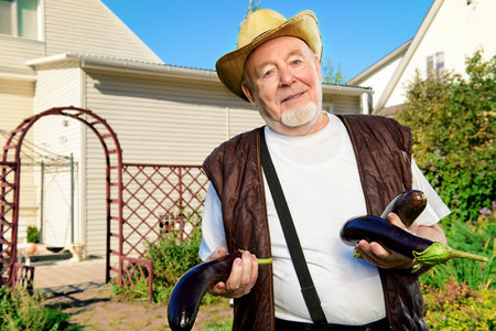 Smiling senior man with his harvest in the garden. Gardening and vegetable farming. Happy retirement.の写真素材