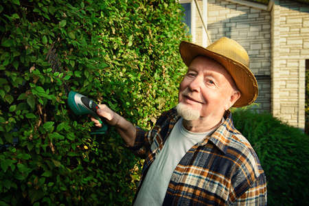 Senior man trimming garden plants. Gardening concept. Happy retirement.の写真素材