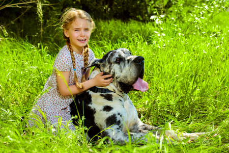 Happy little girl embracing her dog mastiff. Sunny summer day in the countryside.の写真素材