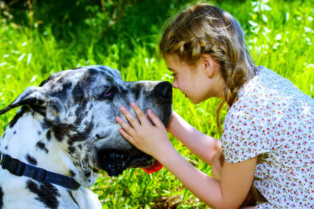 Happy little girl embracing her dog mastiff. Sunny summer day in the countryside.の写真素材