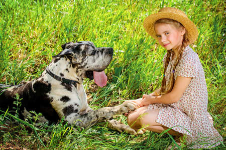 Happy little girl holds her dog's paw. Friendship. Sunny summer day in the countryside.の写真素材
