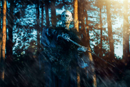 Zombie warrior in knightly armor stands in the night forest. Fantasy horror film. Halloween.の写真素材