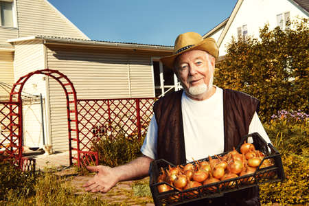 Handsome smiling senior man standing in his garden and demonstrating good crop of onions. Gardening and vegetable farming. Happy retirement.の写真素材
