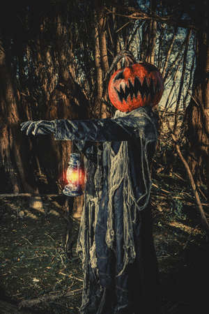 Halloween character. A terrible Jack-lantern with a pumpkin on his head wanders through the night forest.の写真素材