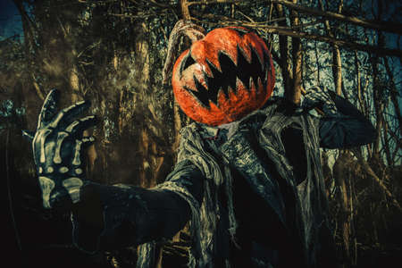 Halloween character. A terrible Jack-lantern with a pumpkin on his head wanders through the night forest.の写真素材