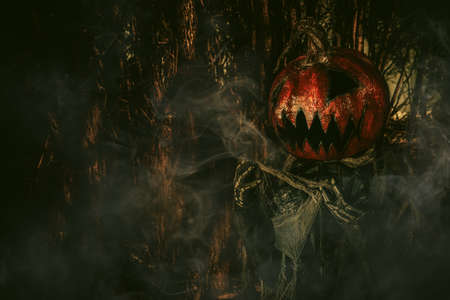 Halloween character. A terrible Jack-lantern with a pumpkin on his head wanders through the night forest.の写真素材