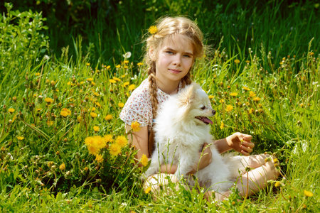 Cheerful girl embraces her lovely little dog. Sunny summer day in the countryside.の写真素材