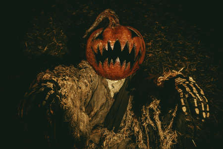 Halloween character. A terrible Jack-lantern with a pumpkin on his head wanders through the night forest.の写真素材