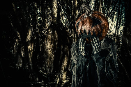 Halloween character. A terrible Jack-lantern with a pumpkin on his head wanders through the night forest.の写真素材