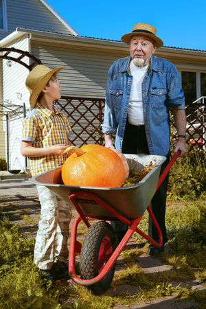 Happy grandpa and his grandson harvest of pumpkins in the garden. Sunny autumn day.
