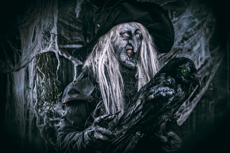 A portrait of a scary wizard with a black raven. Halloween. Horror film.の写真素材