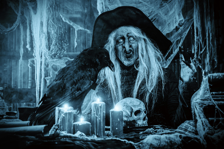 A portrait of a scary wizard with a black raven. Halloween. Horror film.の写真素材