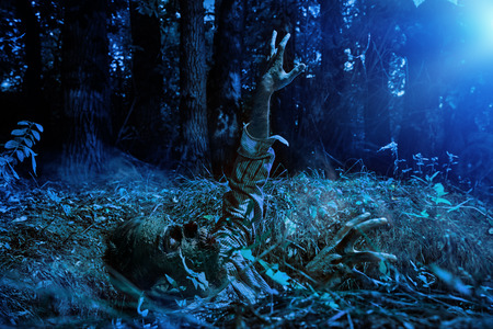 Zombie climbs out of the grave in the night cemetery. Halloween. Horror.の写真素材
