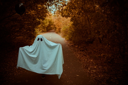 A lonely ghost of a child under a white sheet stands on a deserted road in the forest. Halloween.の写真素材