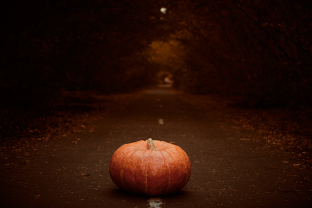 Pumpkin on a deserted road in a gloomy autumn forest. Halloween concept.の写真素材