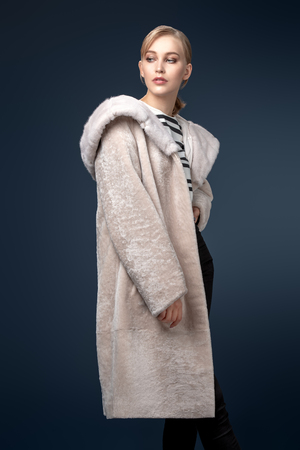 A portrait of a young fashionable woman in a coat with fur. Beauty, fashion.の写真素材