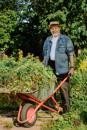Portrait of an elderly gardener carrying weeds from the garden in a cart.の写真素材