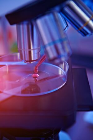 COVID-19 or SARS-CoV-2. Close-up of a microscope with Petri dish and coronavirus test. A scientist makes a study of coronavirus in the laboratory. Innovative technologies in medicine.の写真素材