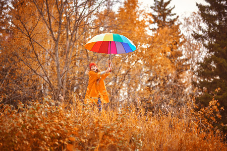 Beautiful child girl in bright autumn clothes stands at the autumn park with large multi-colored umbrella. Happy mood of autumn.の写真素材