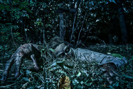 Zombie climbs out of the grave in the night cemetery. Halloween Horror.の写真素材
