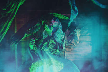 Halloween scary tales. A scary old witch is talking with her magic black raven standing next to the cauldron with a magical potion.の写真素材