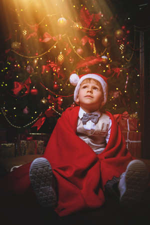 Funny little boy sits near the Christmas tree and looks up on the light. Christmas and New Year concept.の写真素材