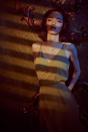 Portrait of a beautiful brunette young woman in an elegant dress posing in a dark vintage room by...