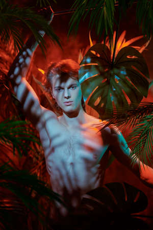 Jungle photoshoot. Handsome young man fashion model with naked torso poses among tropical plants. Men's beauty. Perfumery and beauty products.の写真素材