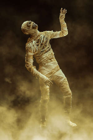 Scary evil mummy looks up on a dark background with mystical smoke. Full length portrait with copy space. Halloween. Ancient Egyptian mythology.の写真素材