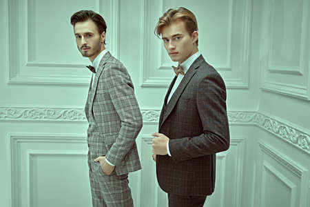 Men's beauty, fashion. Portrait of two handsome young men in elegant classic suits posing in a luxury apartments with classic interior.の写真素材