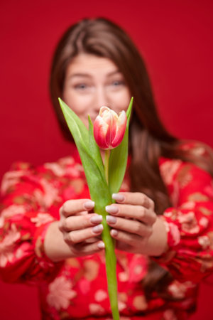 Studio portrait of a pretty girl giving a tulip flower in a red festive background. Valentine's Day....