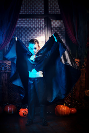 Halloween tales. A little boy in a vampire costume wanders through the old castle scaring uninvited guests on a dark Halloween night.の写真素材