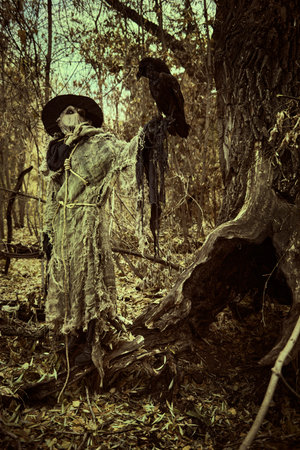 A terrible Scarecrow with a canvas sack on his head and in a burlap cloth stands in the dark thicket of the forest with a black raven on his hand. Vintage style. Halloween Tales. Horror, thriller.の写真素材