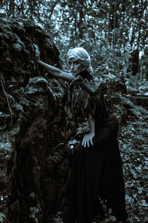 Black Queen, Witch. Full length portrait of a stately and beautiful old woman with long gray hair and in a rich black dress standing in a night forest. Halloween.の写真素材