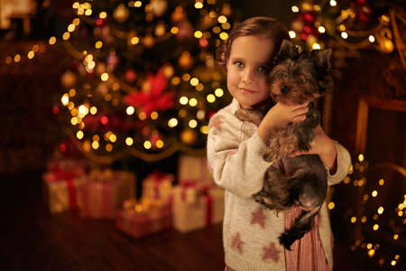 Cute little girl hugs a pet dog in the background of a festive Christmas tree at home. Merry Christmas and Happy New Year!の写真素材