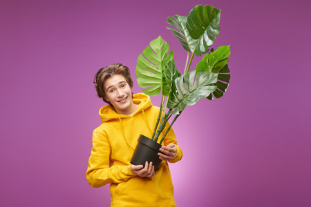 A happy smiling boy teenager in bright yellow hoodie smiles joyfully holding a room plant. Young...