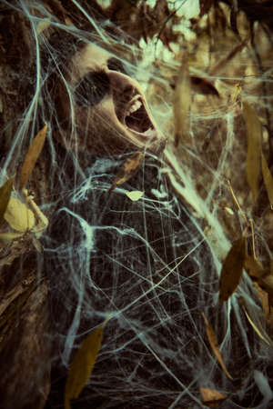 Horror movie, thriller. Scared lonely traveler is caught in a spider web and screaming in a dark evil forest. Halloween.の写真素材