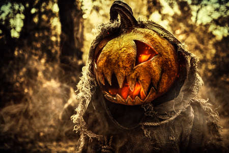 Portrait of a terrible ghost of Jack-o'-lantern with a pumpkin on his head and in a sackcloth robe standing in a dense forest. Scarecrow. Halloween Tales. Horror, thriller.の写真素材