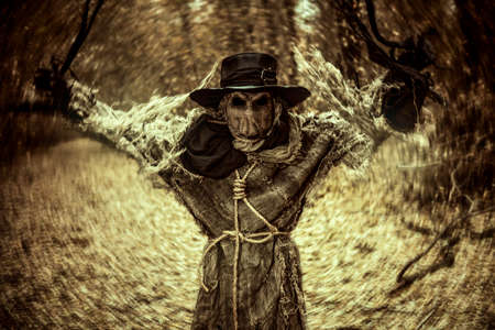 A scene of horror, when an evil terrible Scarecrow with a sack on his head, in a sackcloth vestment and a black hat, suddenly attacks a traveler in a dense night forest. Halloween tales.の写真素材