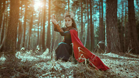 Portrait of a courageous woman warrior valkyrie in a sunny wood with a magic sword. Scandinavian mythology. Epic fantasy.の写真素材