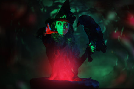 Magic on Halloween night. A scary young witch in a black dress and hat conjures over a cauldron holding a raven on her hand. Dark night time filled with mysterious light.の写真素材