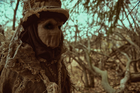 Horror, thriller. An evil Scarecrow with a canvas bag on his head and in a burlap robe stands in a deep forest. Vintage style. Halloween Tales.の写真素材