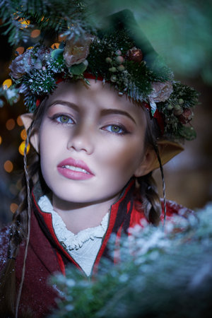 Winter Christmas Fantasy tales. A fabulously beautiful elf girl in winter clothes covered with snow looks to the camera. Magic.の写真素材