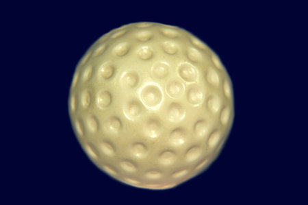 Dark Colors in the background and ball is of white colars. の写真素材