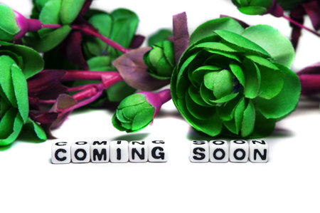 Coming soon message with dark green colored flowers on white background 