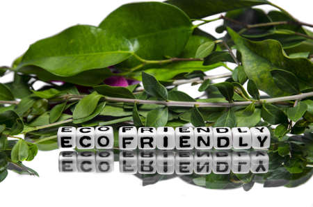 Eco friendly message with plants and leaves on reflective surface の写真素材