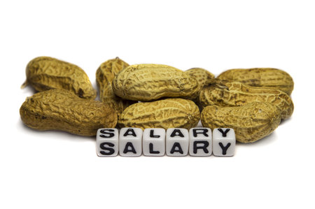 Conceptual image showing peanuts as salary for the workers. 