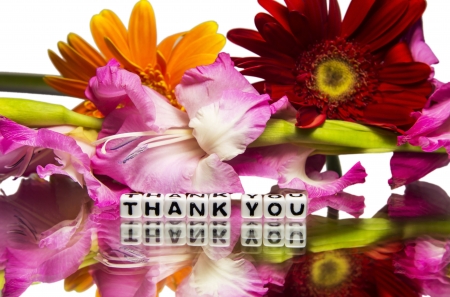Thank you with red and pink flowers and word message. の写真素材