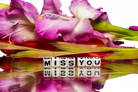 Miss you message with green and pink stem の写真素材