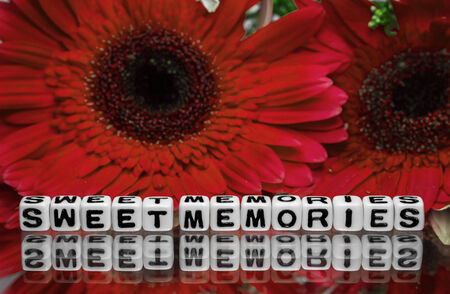 Sweet memories text message with red flowers in the background.の写真素材